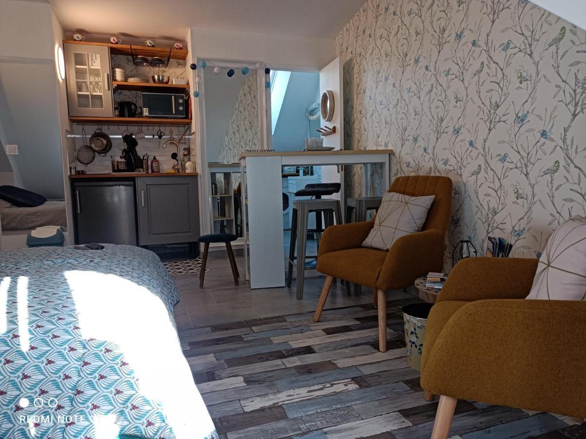 Tres Beau Studio Climatisation, Trois Etoiles, Parking A Velo, Velos En Option, Parking Prive Jardin Montargis Zewnętrze zdjęcie